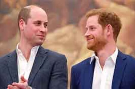 حرب الشقيقين.. خلاف وليام وهاري قديم وميغان زادت التوتر…