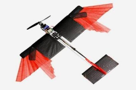 سويسرا..ابتكار درون لمراقبة الطيور يمكنه الطيران والسباحة