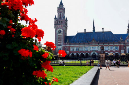 جنوب إفريقيا ترفع دعوى ضد إسرائيل بمحكمة العدل الدولية وتتهمها بالإبادة الجماعية￼