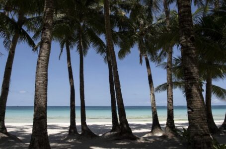 الأمم المتحدة تتوقع تعافي السياحة العالمية بالكامل في 2024￼