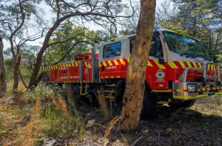 أستراليا الغربية تشهد موجة شديدة الحرارة تزيد خطر حرائق الغابات￼