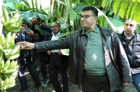 وزير الزراعة: توجه لتعديل عمل صندوق المخاطر الزراعية لحماية المزارع￼