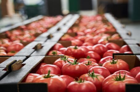 وزارة الزراعة توقع اتفاقيتين مع مصنعين لتجفيف الفواكه في منطقتي الموقر والمفرق￼