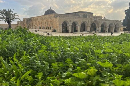 “أوقاف القدس”: الجماهير ستزحف للمسجد الأقصى في رمضان ومنعهم سيخلق توترا