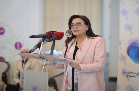 وزيرة العمل: دليل شامل لأسس إصدار تصاريح عمل العمالة غير الأردنية