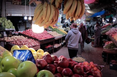 4229 طنا من الخضار والفواكه والورقيات وردت للسوق المركزي الأحد