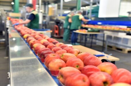 30 شركة صناعية محلية تشارك في معرض “سعودي فود 2024”