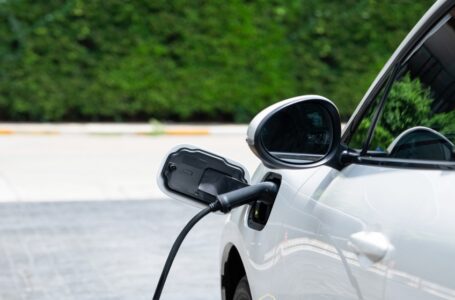 تعليمات استيراد المركبات الكهربائية للأردن “للحفاظ على سلامة استخدامها”