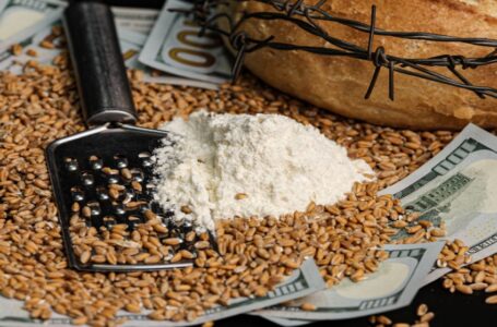 الفاو: ارتفاع مؤشر أسعار الغذاء العالمية للشهر الثالث في مايو