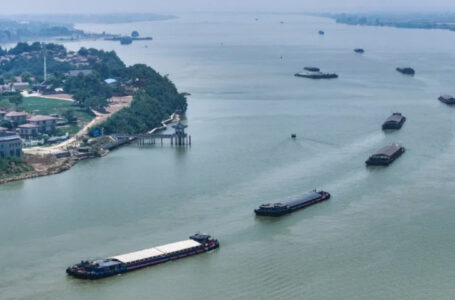 دراسة: الذكاء الاصطناعي قد يساهم في خفض انبعاثات الشحن البحري