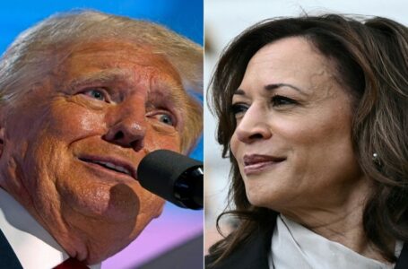 100 يوم تفصل ترامب وهاريس عن الانتخابات الرئاسية الأميركية