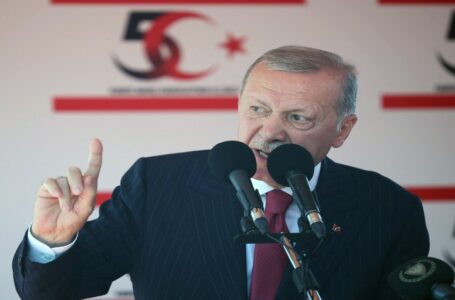 أردوغان: تركيا قد تدخل إسرائيل لمساعدة الفلسطينيين