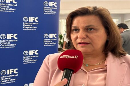 وزيرة الاستثمار: مشروع دعم الأدوية هدفه تحويل الأردن إلى مركز إقليمي لصناعة الأدوية