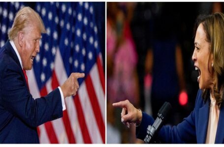 هل تعوق محاولة اغتيال ترامب الثانية تقدم هاريس للبيت الأبيض؟