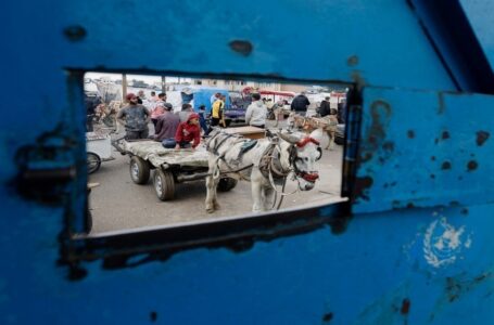 الأردن والسويد يترأسان اليوم اجتماعا وزاريا لدعم “أونروا” في نيويورك