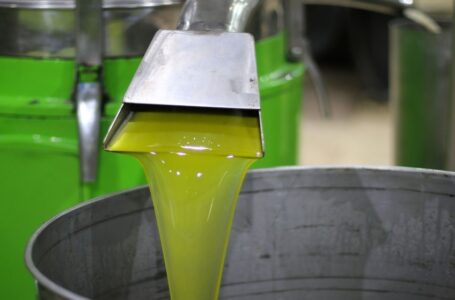 ارتفاع كميات زيت الزيتون المنتجة خلال الشهر الأول من الموسم بنسبة 32.2%