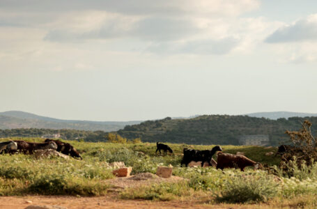 ارتفاع طفيف على الحرارة الثلاثاء وحالة عدم استقرار جوي مساء الأربعاء