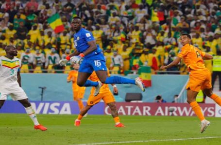 هولندا تنتزع فوزا صعبا من السنغال 2-0… ￼