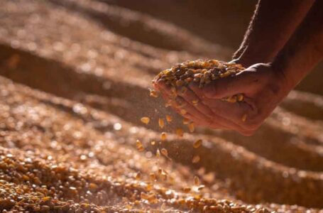 البنك الأوروبي للتنمية يدعم إنشاء مجلس أعلى أردني للأمن الغذائي بـ 130 مليون دولار