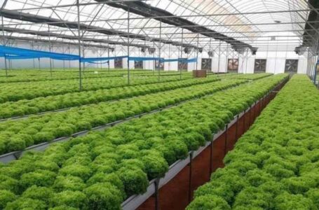 فعاليات المنتدى العربي للزراعة تنطلق اليوم في عمّان…