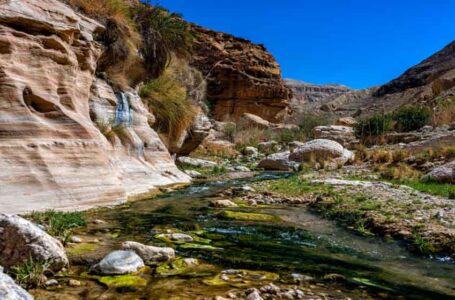 طقس بارد اليوم وغدًا ولطيف نهاية الاسبوع…..