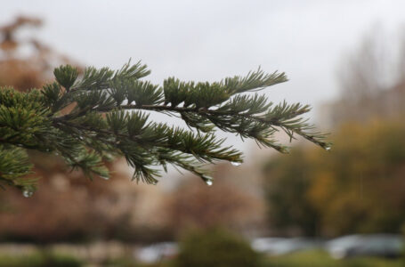 استمرار الكتلة شديدة البرودة حتى الخميس وتوقع ثلوج فوق قمم 1100 متر……      