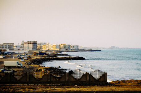 اليمن يوقف تصدير الأسماك والأحياء البحرية للخارج…….       ￼