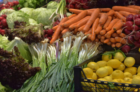 وزارة الزراعة: الرمثا تسهم بـ25% من إنتاج الأردن من البطاطا والخضراوات……..