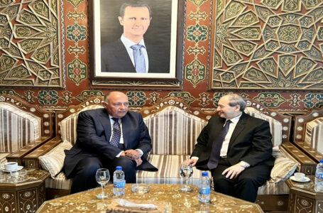 وزير الخارجية المصري في دمشق للتضامن مع سوريا بمواجهة تداعيات الزلزال………           ￼