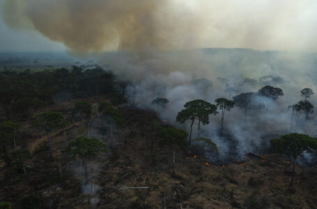 انبعاثات ثاني أكسيد الكربون العالمية تسجّل رقما قياسيا في 2022……….