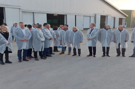 وزير الزراعة يؤكد أهمية استمرارية انسياب الأغنام المصدرة إلى الأردن…….        ￼