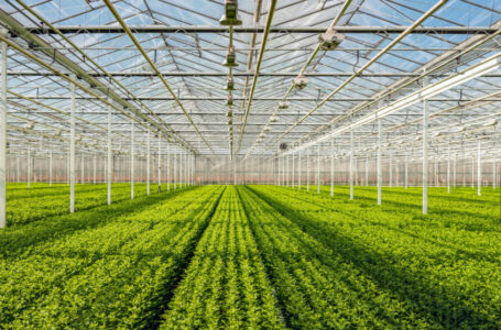 الأردن يشارك اليوم باجتماع رباعي في دمشق لوزراء زراعة عرب…….