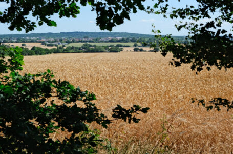 نحو 53.9 مليون شخص عانوا من انعدام الأمن الغذائي الشديد في المنطقة العربية…….