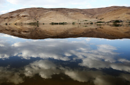 ارتفاع معدل الهطول المطري إلى 117,2%……..