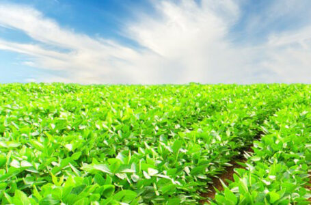 مؤسسة الإقراض الزراعي تعيد النظر بأسعار الفوائد والمرابحات…….      ￼