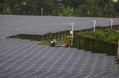 الاتحاد العالمي للطاقة الذكية يعتمد الأردن مركزا للتدريب…….     ￼