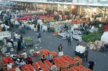 3760 طنا من الخضار ترد إلى السوق المركزي الأحد￼
