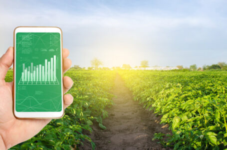 مؤشر الفاو لأسعار الأغذية ينخفض إلى أقل مستوياته في عامين…….