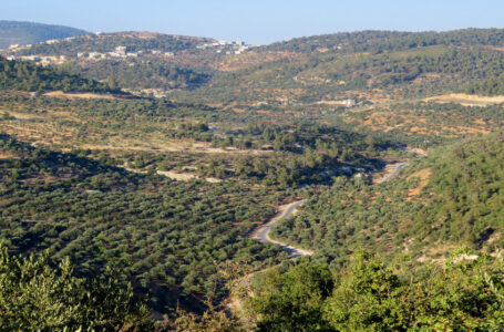 مطالب بتكثيف حملات النظافة على الأماكن السياحية ومواقع التنزه في عجلون…….     ￼