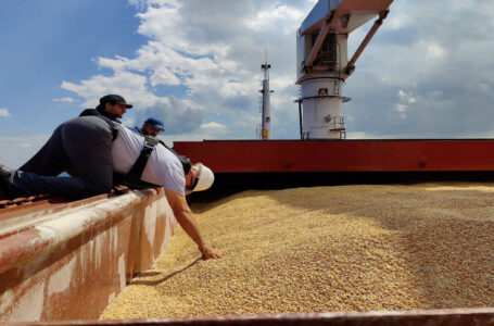 تمديد القيود الأوروبية لاستيراد حبوب أوكرانية حتى 15 أيلول/سبتمبر…….      ￼