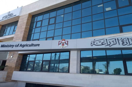وزارة الزراعة تؤكد التزامها بحماية الإنتاج المحلي بعيدا عن الاحتكار والاستغلال￼