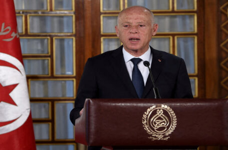 الرئيس سعيد: تونس لن تكون حارس حدود لأوروبا￼