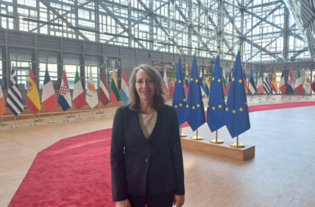 منسقة الأمم المتحدة في الأردن تدعو لاستمرار دعم اللاجئين السوريين￼