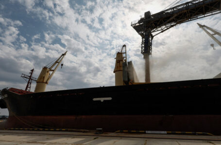 الأمم المتحدة تدعو إلى تسريع صادرات الحبوب في البحر الأسود￼