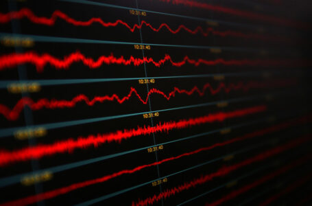 مرصد الزلازل يسجل هزة أرضية في ذيبان فجرا￼