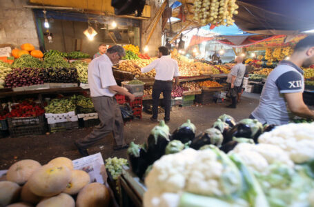 3084 طن خضار وفواكه واردات السوق المركزي ￼