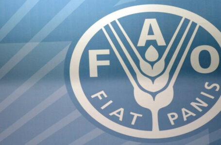استقرار مؤشر “الفاو” لأسعار الأغذية في أيلول￼