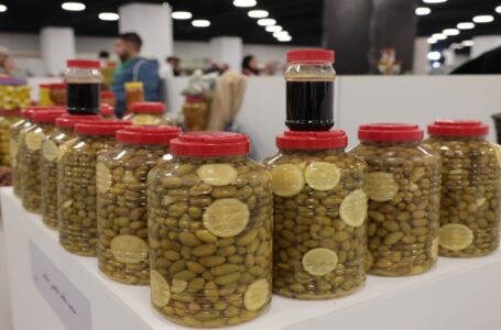 افتتاح مهرجان الزيتون الوطني في عمّان وسط حملة لدعم صمود الفلسطينيين￼