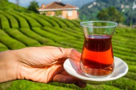 فئات ممنوعة من تناول الشاي بعد الإفطار مباشرة