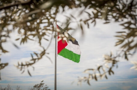 إسبانيا وإيرلندا وسلوفينيا والنرويج تدعو لقبول فلسطين عضوا كاملا بالأمم المتحدة